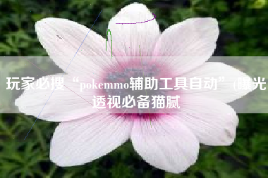 玩家必搜“pokemmo辅助工具自动”(曝光透视必备猫腻