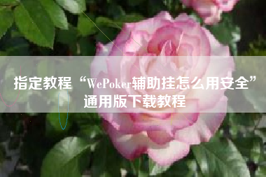 指定教程“WePoker辅助挂怎么用安全	”通用版下载教程