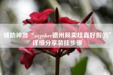辅助神器“wepoker德州局卖挂真好假的”详细分享装挂步骤