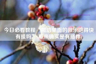 今日必看教程“微信里面的微乐跑得快有挂吗”(原来确实是有插件)