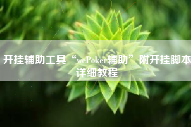 开挂辅助工具“wePoker辅助	”附开挂脚本详细教程