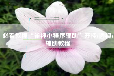 必看教程“雀神小程序辅助”开挂(透视)辅助教程