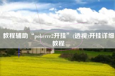 教程辅助“pokerrr2开挂”(透视)开挂详细教程