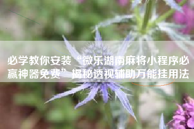 必学教你安装“微乐湖南麻将小程序必赢神器免费”揭秘透视辅助万能挂用法