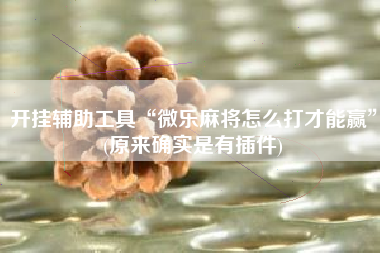 开挂辅助工具“微乐麻将怎么打才能赢	”(原来确实是有插件)