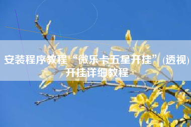 安装程序教程“微乐卡五星开挂”(透视)开挂详细教程