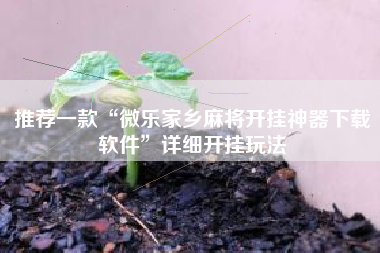推荐一款“微乐家乡麻将开挂神器下载软件”详细开挂玩法