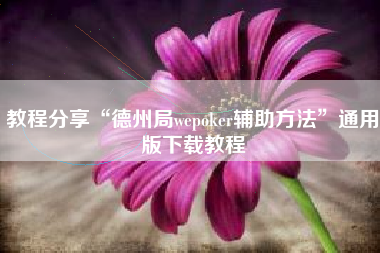 教程分享“德州局wepoker辅助方法”通用版下载教程