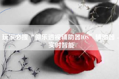 玩家必搜“微乐透视辅助器IOS”辅助器 - 实时智能