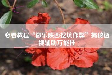 必看教程“微乐陕西挖坑作弊”揭秘透视辅助万能挂