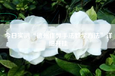 今日实测“德州作弊手法教学方法”详细开挂