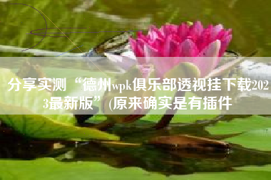 分享实测“德州wpk俱乐部透视挂下载2023最新版	”(原来确实是有插件