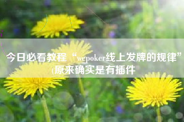 今日必看教程“wepoker线上发牌的规律	”(原来确实是有插件