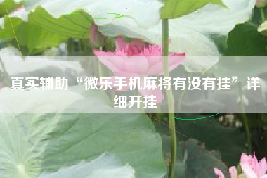 真实辅助“微乐手机麻将有没有挂”详细开挂