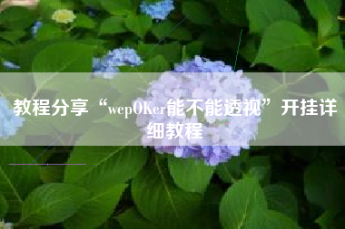 教程分享“wepOKer能不能透视”开挂详细教程