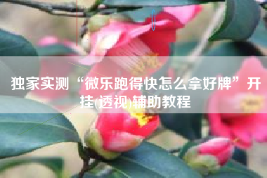 独家实测“微乐跑得快怎么拿好牌	”开挂(透视)辅助教程