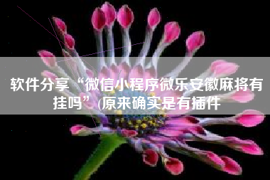 软件分享“微信小程序微乐安徽麻将有挂吗”(原来确实是有插件