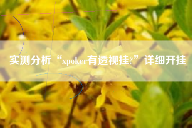实测分析“xpoker有透视挂?”详细开挂