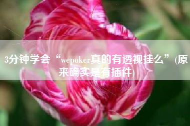 3分钟学会“wepoker真的有透视挂么	”(原来确实是有插件)