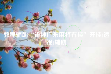 教程辅助“雀神广东麻将有挂	”开挂(透视)辅助