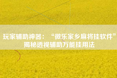 玩家辅助神器：“微乐家乡麻将挂软件”揭秘透视辅助万能挂用法