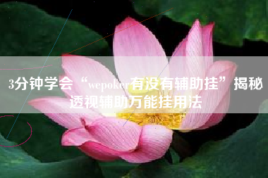 3分钟学会“wepoker有没有辅助挂	”揭秘透视辅助万能挂用法