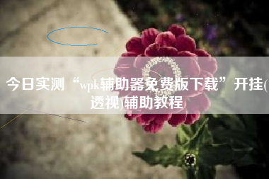 今日实测“wpk辅助器免费版下载”开挂(透视)辅助教程