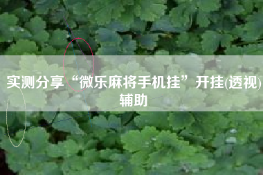 实测分享“微乐麻将手机挂”开挂(透视)辅助