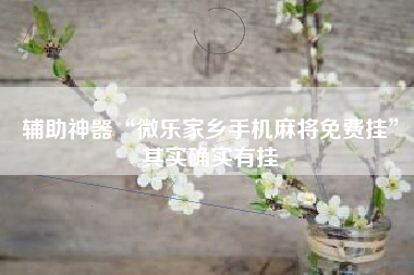 辅助神器“微乐家乡手机麻将免费挂”其实确实有挂