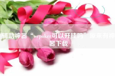 辅助神器“wepoker可以开挂吗”原来有神器下载