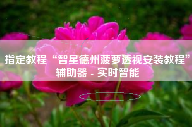 指定教程“智星德州菠萝透视安装教程”辅助器 - 实时智能