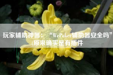 玩家辅助神器：“WePoker辅助器安全吗”(原来确实是有插件