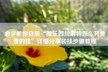 必学教你安装“微乐四川麻将怎么开免费的挂”详细分享装挂步骤教程