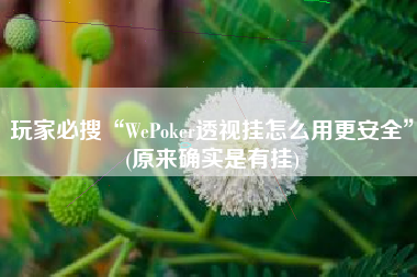 玩家必搜“WePoker透视挂怎么用更安全”(原来确实是有挂)