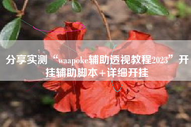 分享实测“waapoke辅助透视教程2023”开挂辅助脚本+详细开挂
