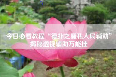 今日必看教程“德扑之星私人局辅助”揭秘透视辅助万能挂