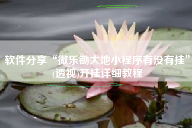 软件分享“微乐锄大地小程序有没有挂”(透视)开挂详细教程