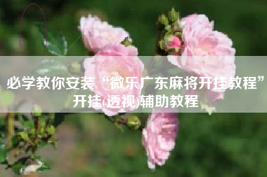 必学教你安装“微乐广东麻将开挂教程”开挂(透视)辅助教程