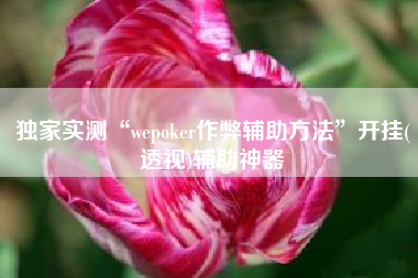 独家实测“wepoker作弊辅助方法”开挂(透视)辅助神器