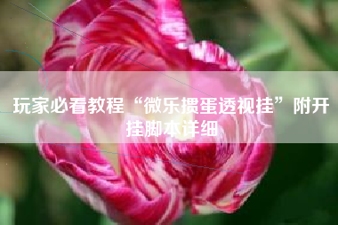 玩家必看教程“微乐掼蛋透视挂	”附开挂脚本详细