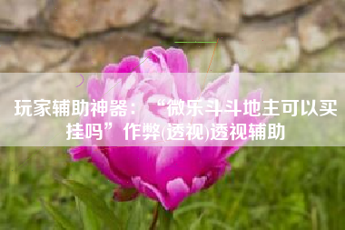 玩家辅助神器:“微乐斗斗地主可以买挂吗”作弊(透视)透视辅助 玩家辅助神器:“微乐斗斗地主可以买挂吗”作弊(透视)透视辅助