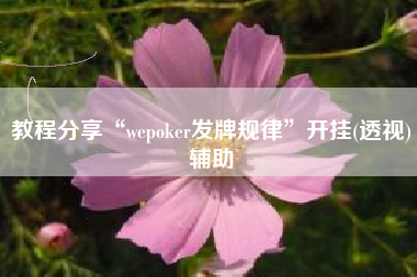 教程分享“wepoker发牌规律”开挂(透视)辅助 教程分享“wepoker发牌规律”开挂(透视)辅助