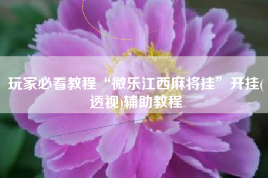 玩家必看教程“微乐江西麻将挂	”开挂(透视)辅助教程