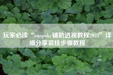 玩家必读“waapoke辅助透视教程2023”详细分享装挂步骤教程