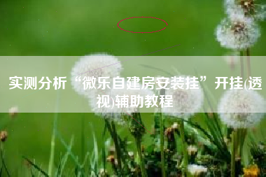 实测分析“微乐自建房安装挂”开挂(透视)辅助教程
