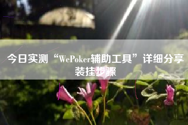 今日实测“WePoker辅助工具”详细分享装挂步骤