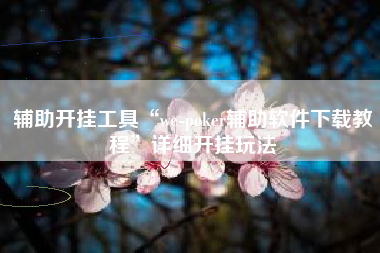 辅助开挂工具“we-poker辅助软件下载教程	”详细开挂玩法