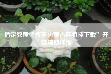 指定教程“微乐内蒙古麻将挂下载”开挂辅助详细