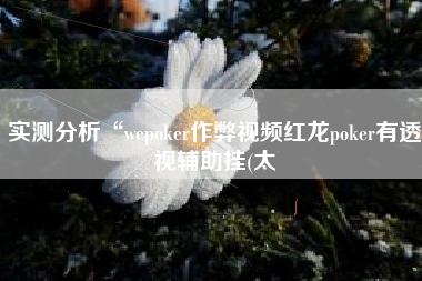 实测分析“wepoker作弊视频红龙poker有透视辅助挂(太