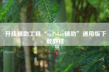 开挂辅助工具“wePoker辅助”通用版下载教程